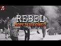 REBEL NOPETSALLOWED