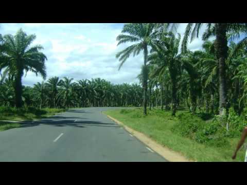 Koragno mangingina, Jean Fredy