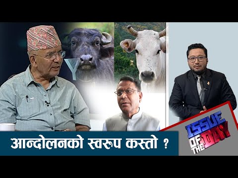 चिकित्सक र प्राविधिकलाई एउटै कित्तामा राख्दा पशु चिकित्सकहरु आन्दोलित । ISSUE OF THE DAY