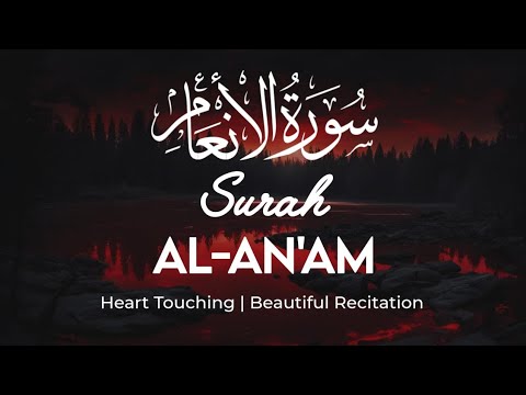 Surah Al-An'am | Beautiful Recitation By Sheikh Mohammed Ayub