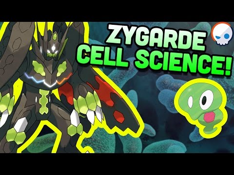 Pokemon Science: Zygarde's Cells! | Gnoggin
