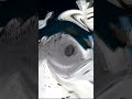 OREO Cookies And Cream In El Effect Shorts ElEffect Oreo Viral