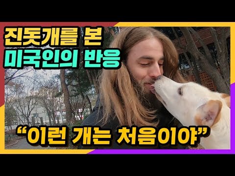 아이콘