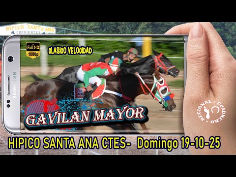 GAVILAN MAYOR-Clasico Velocidad- Hipico Santa Ana Ctes- Domingo 19-10-25