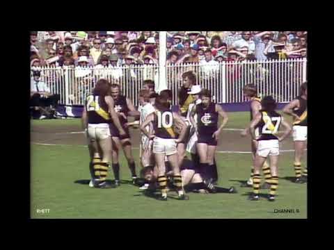 Ch 9 colour footage of Neil Balme/Southby/Waite incidents in 1973 Grand Final.