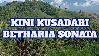Download lagu KINI KU SADARI,,BETHARIA SONATA mp3 Download lagu KINI KU SADARI,,BETHARIA SONATA mp3