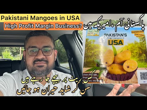 Pakistani Mangoes in USA | High Priced Pakistan Mangoes in America | America main Pakistani Aam