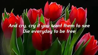 Light and Shade  by Fra lippo lippi