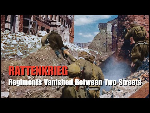 Inside the Hell of Stalingrad Where Entire Regiments Vanished Between Two Streets