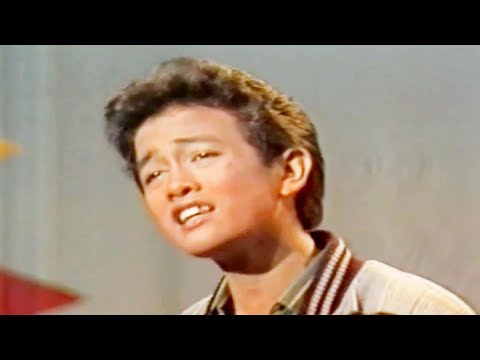 Janter Simorangkir  -  Haruskah Aku Memilih