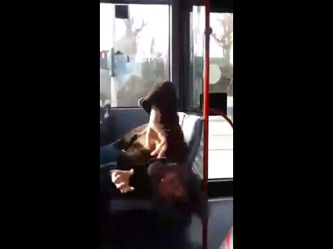 Bekloppter mann im Bus teil 2