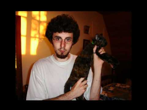 Je déteste les vidéos de chats