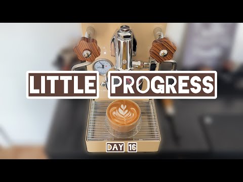 Day 16 — Beginner Home Barista Silent Workflow | Lelit Mara X & DF54