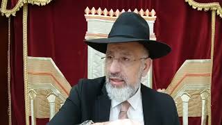 Parashat Bo Un temps pour chaque mitsva. Yom ouledette sameah pour Anael et Arielle