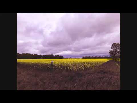 RADI VERT - Nic nie mam