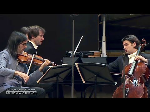 Lugansky . Capuçon . Kavakos - Brahms Piano Trio No. 2