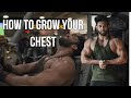 INTENSE CHEST AND SHOULDER WORKOUT WITH ADVICE AND TIPS
