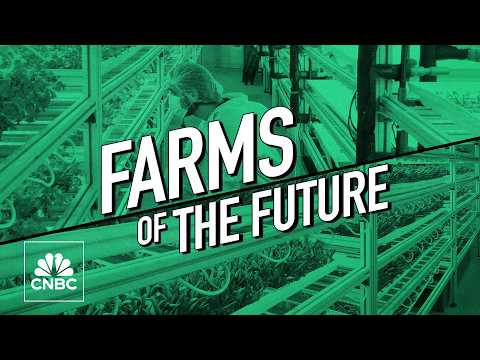 新加坡如何利用科技在沒有農田的情況下種植糧食 (How Singapore is using tech to grow food without farmland)
