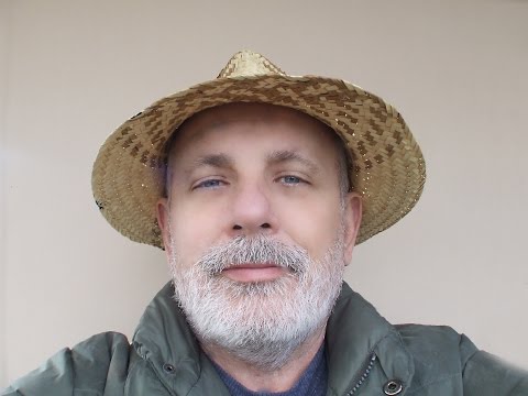 A thought bothering me  Petőfi Sándor