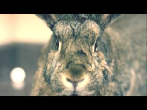 ymtk - THE BOAT (BASED)