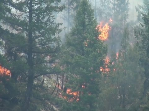 2016 Wildfire Season Expected to Be Less Severe