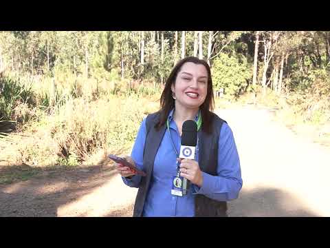 Governador autoriza pavimentação da SC-2 em Matos Costa