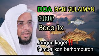 Download lagu DOA NABI SULAIMAN UNTUK MANCING IKAN|| DOA MANCING IKAN|| SHOLAWAT MANCING IKAN mp3 Download lagu DOA NABI SULAIMAN UNTUK MANCING IKAN|| DOA MANCING IKAN|| SHOLAWAT MANCING IKAN mp3