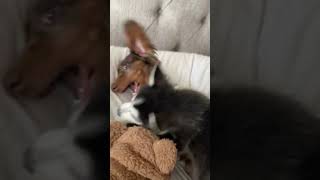 Pillow talk on a hot topic