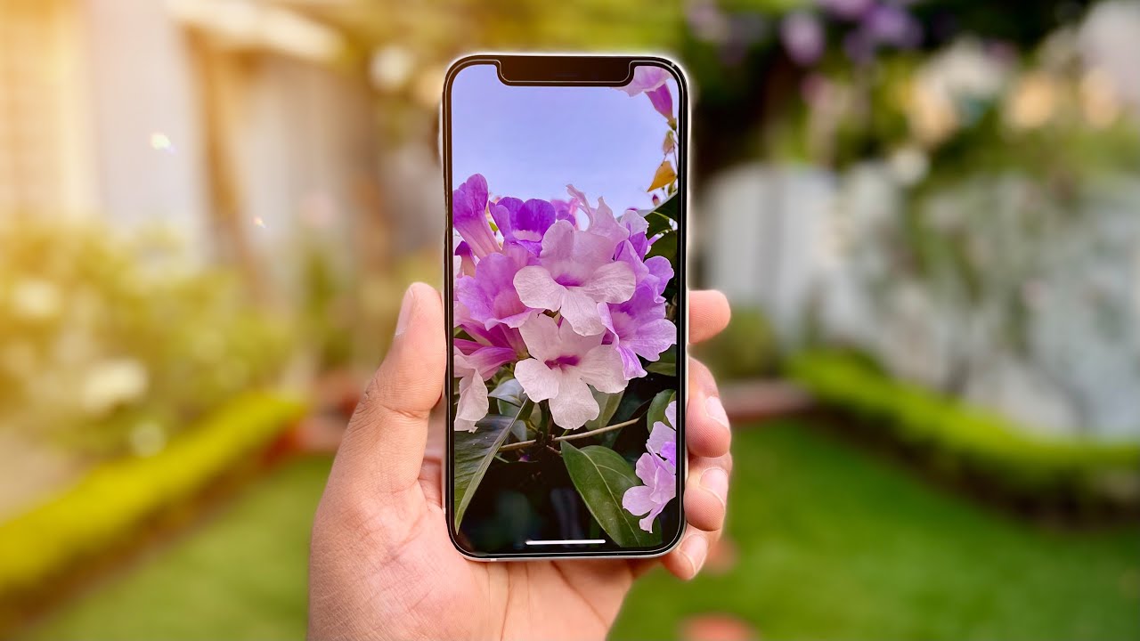 iPhone 12 mini Detailed Camera Review
