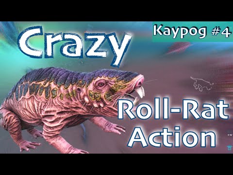 ARK: Kaypog Server #4 - Crazy Roll-Rat Action - How to tame a roll rat| PVP deutsch/german