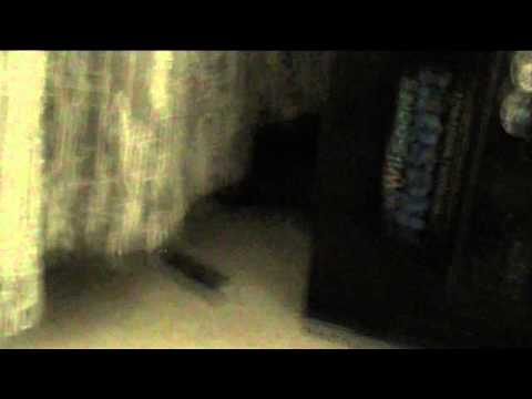 Itaa ja kattelin hyvän leffan