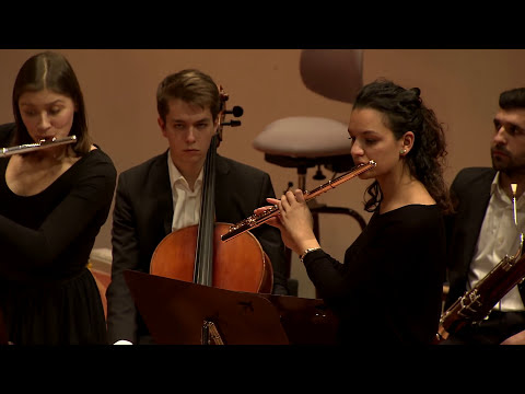 Telemann: Concerto D-Dur 54: D1 / Reinhard Goebel · Karajan-Akademie der Berliner Philharmoniker