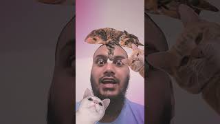 Why would you eat the wrapper #funny #comedy #fypシ゚viral #fypyoutube #fypage #shorts #shortsfeed 