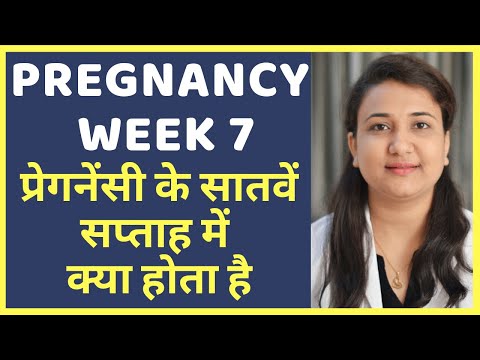 प्रेगनेंसी का सातवां सप्ताह | PREGNANCY WEEK 7