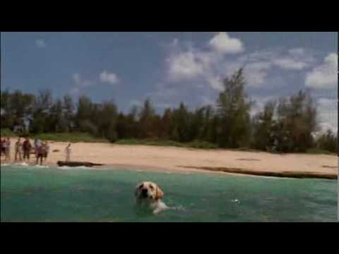 Lost - Timeline: The Raft sets sail