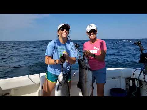 S2022:E09 Zero to Hero