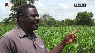 Burkina Faso: Palenfo Nahondomo, King of Cassava