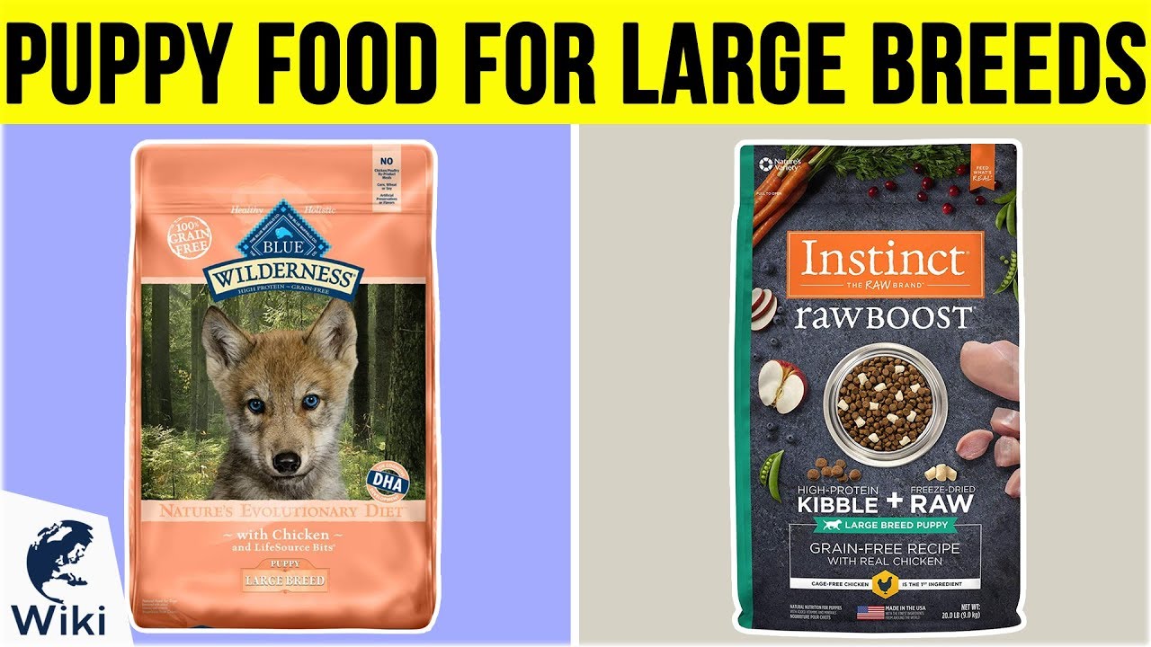 10 Best Puppy Food For Large Breeds 2019