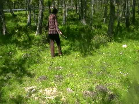 accadia maria gagliardi