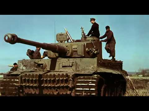 Panzer an der Ostfront 1941-1945