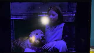 Annie 1999 tomorrow #annie1999 #aliciamorton