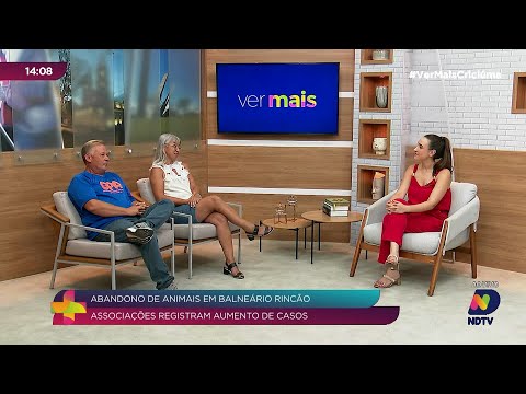 Aumento do abandono de animais preocupa associações durante a temporada de verão em Balneário Rincão