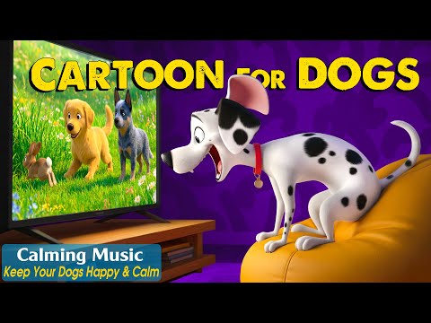 Dog Cartoon: Relaxing Dog TV for Dogs Home Alone – Boredom-Busting Videos & Calming Music for Dogs