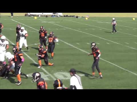 HIGHLIGHTS ADRIANO DORTA