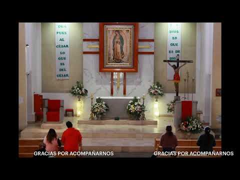 Celebracion Eucaristica. San Ignacio de Antioquia, Obispo y Martir