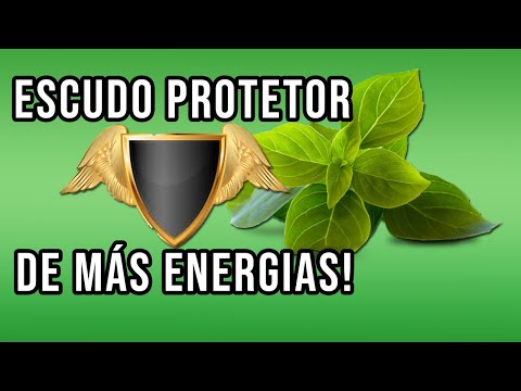 BANHO DE MANJERICÃO:  Saiba de todos os benefícios!