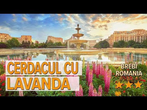 Cerdacul cu lavanda hotel review | Hotels in Brebi | Romanian Hotels
