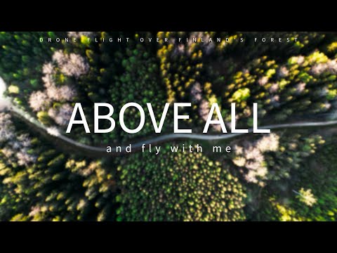 I Found This Beautiful Lake While Flying Over Finland’s Forests