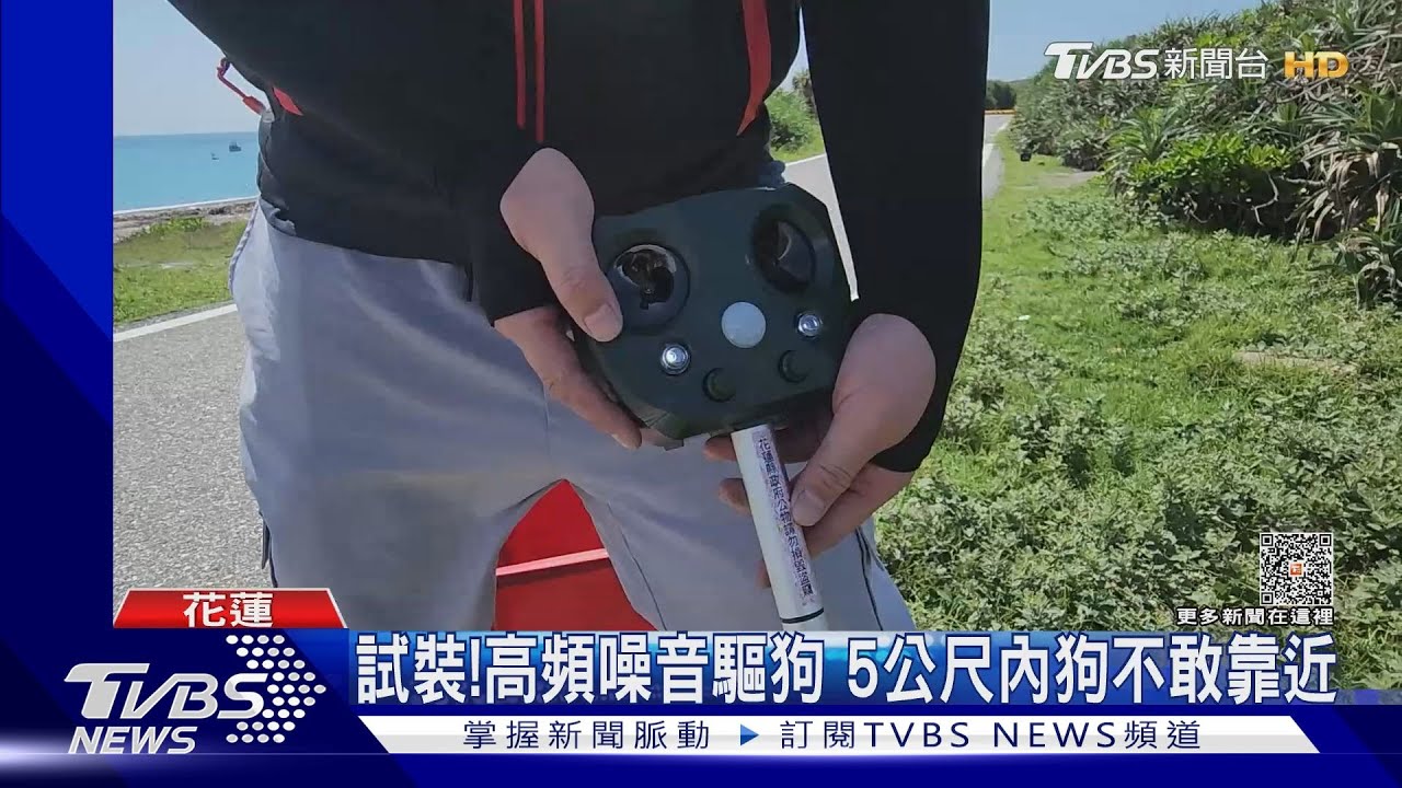 一年通報4百件浪浪追人　景點設「驅狗器」