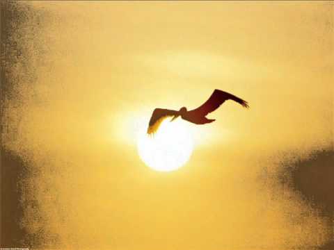 Marijan Novina   Vse enkrat mine  - remix DJ stripy